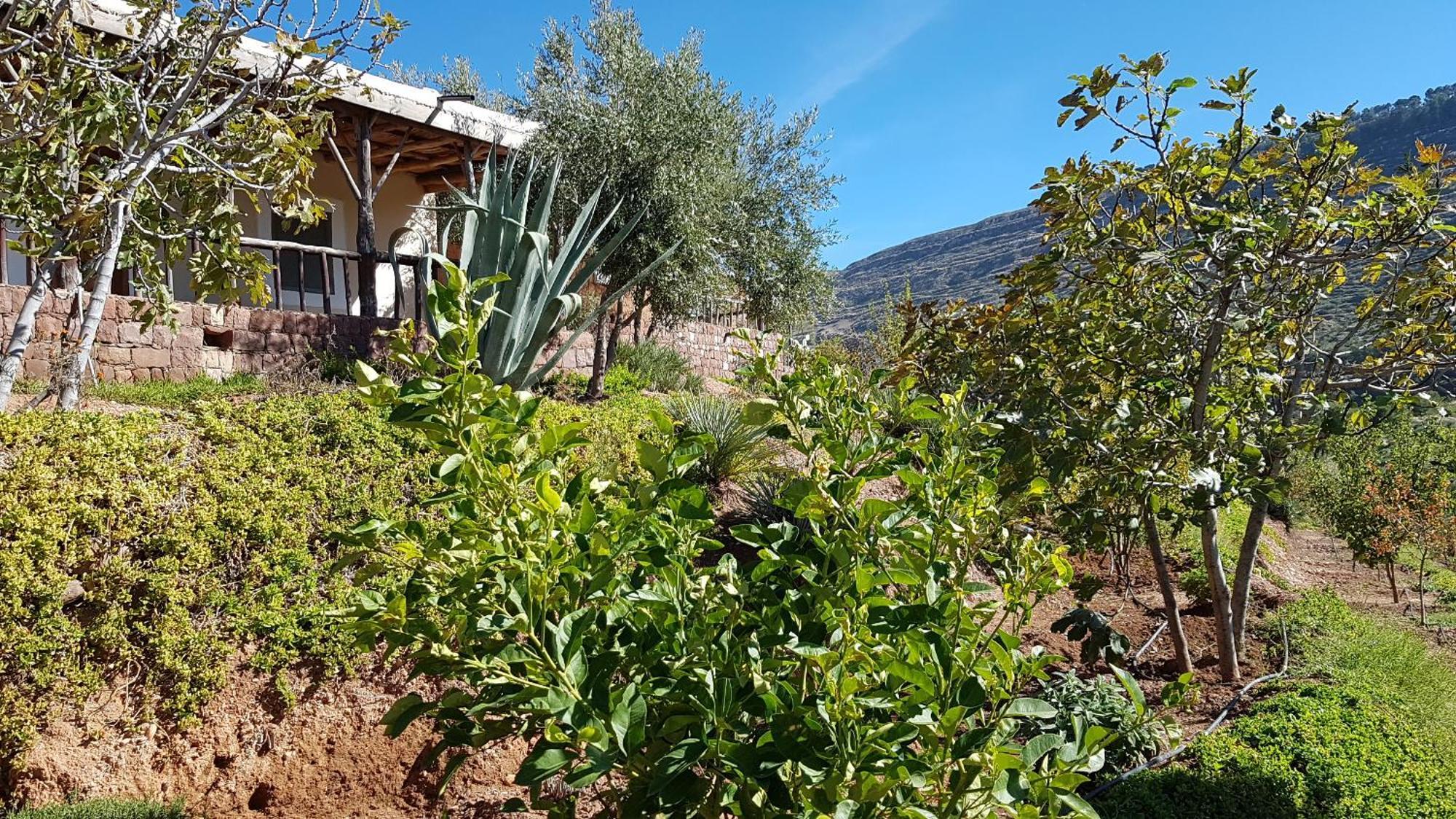 Le Douar Berbere (Adults Only) Villa Ourika Eksteriør billede